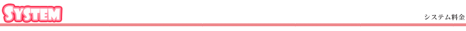 システム料金